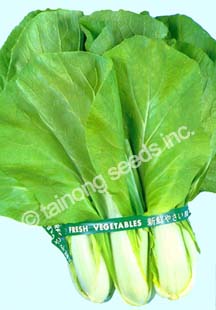 BokChoyTaiwan