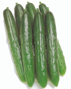 CucumberProgress