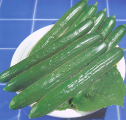 CucumberSouthernDelight