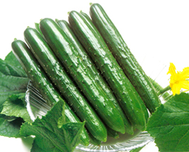 CucumberSummerTop