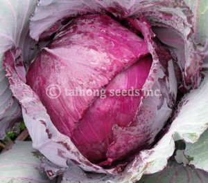 IMG_4757_edited-1 copy