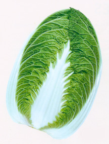 NapaChorus