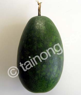 OkinawaTougan