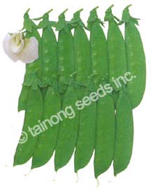 SnowPeas