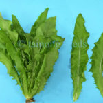 a choy lettuce